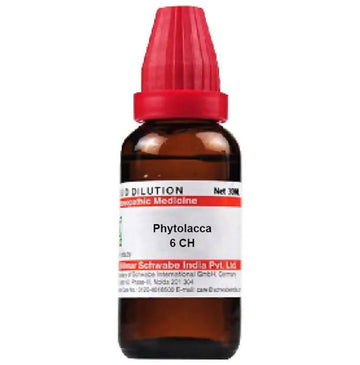 Dr. Willmar Schwabe India Phytolacca Dilution