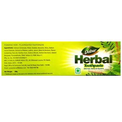 Dabur Herbal Toothpaste - 100 GM
