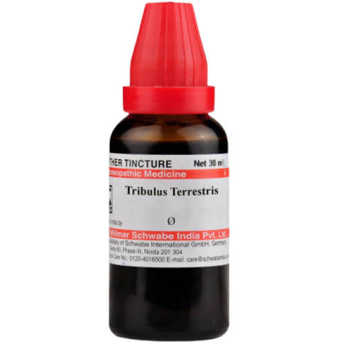Dr. Willmar Schwabe India Tribulus Terrestris Mother Tincture Q