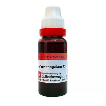 Dr. Reckeweg Ornithogalum Umbellatum Mother Tincture Q - 20 ML