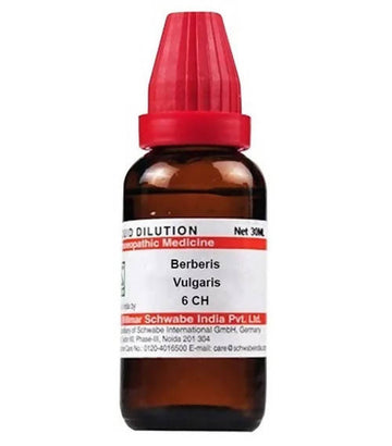 Dr. Willmar Schwabe India Berberis Vulgaris Dilution