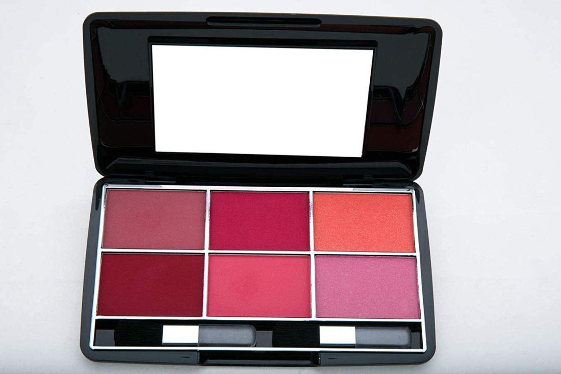 Miss Claire Blusher Kit 3660 B 2, Multi