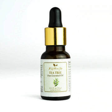 The Body Shop Tea Tree Night Lotion
