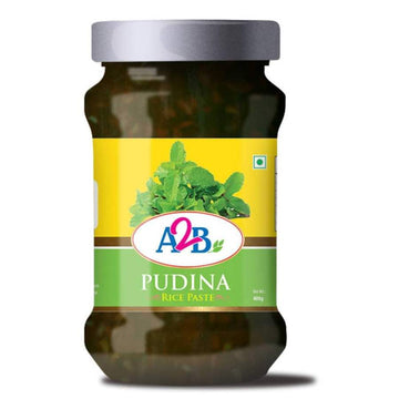 Adyar Ananda Bhavan Pudina Rice Paste