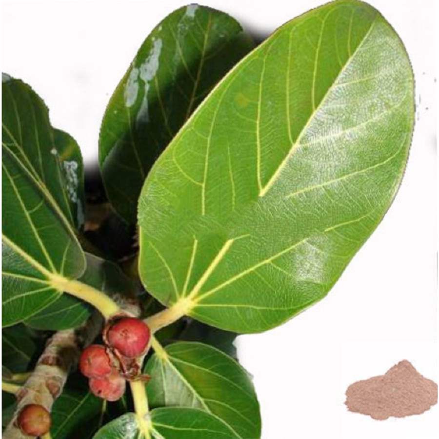 MSK Traders - Nature Herbal Aalam Ilai / Banyan Leaf Powder