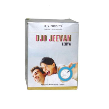 BV Pandit Ojojeevan Lehya