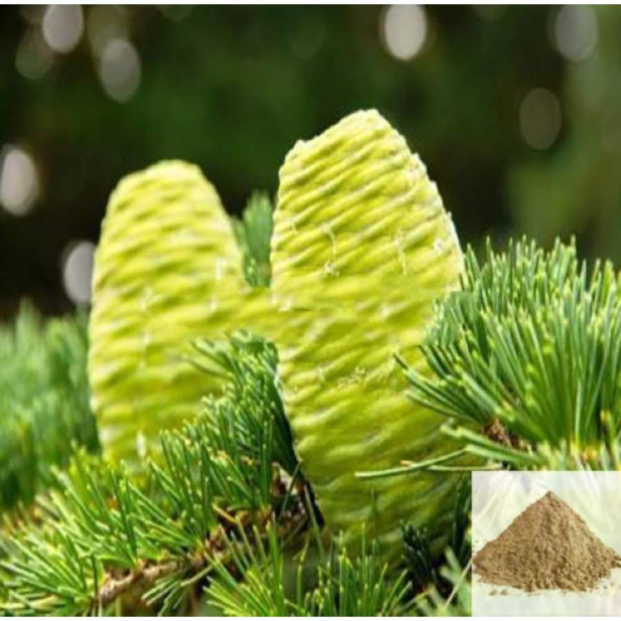 MSK Traders - Nature Herbal Devatharu, Devadaram / Cedar Powder