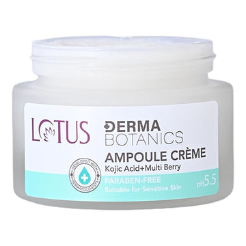 Lakme Absolute Skin Natural Mousse - Classic Ivory Fair