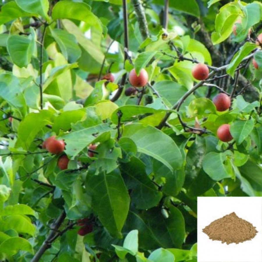 MSK Traders - Nature Herbal Ekanayakam, Ponkoranti / Marking Nut Tree Powder