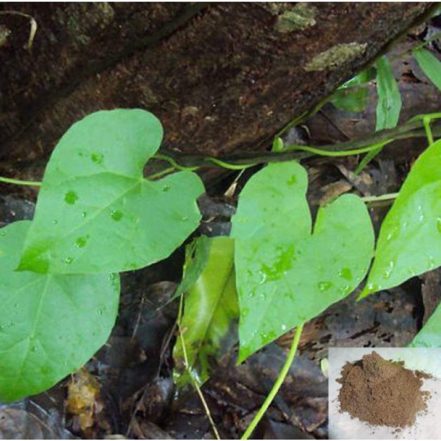 MSK Traders - Nature Herbal Seenthil Kodi / Heart - Leaved Moonseed Powder