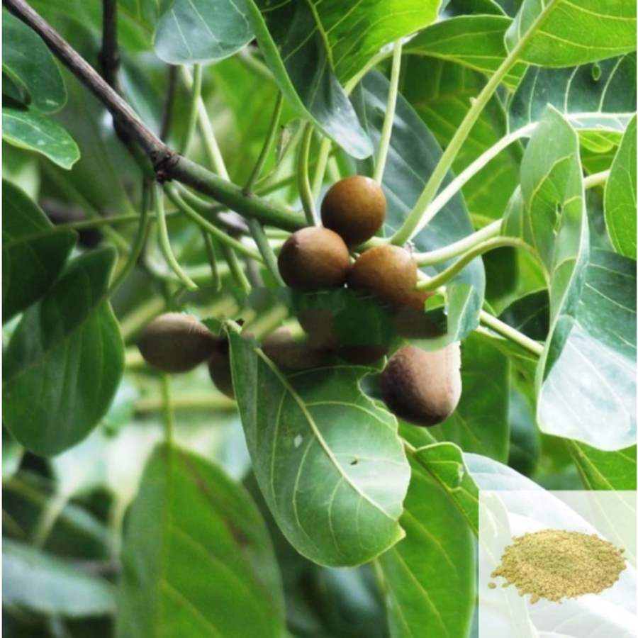 MSK Traders - Nature Herbal Thandrikkai / Beleric Powder