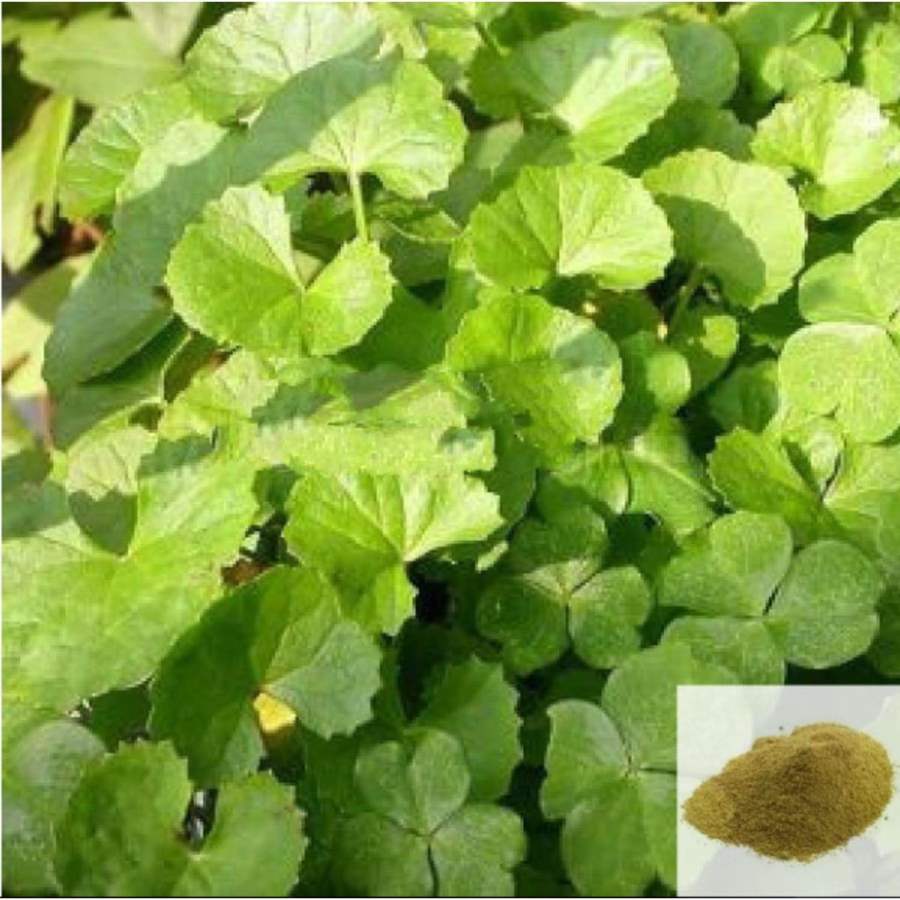 MSK Traders - Nature Herbal Vallarai / Brahmi Leaves Powder