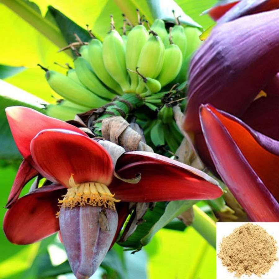 MSK Traders - Nature Herbal Vazhaipoo / Banana Flower Powder