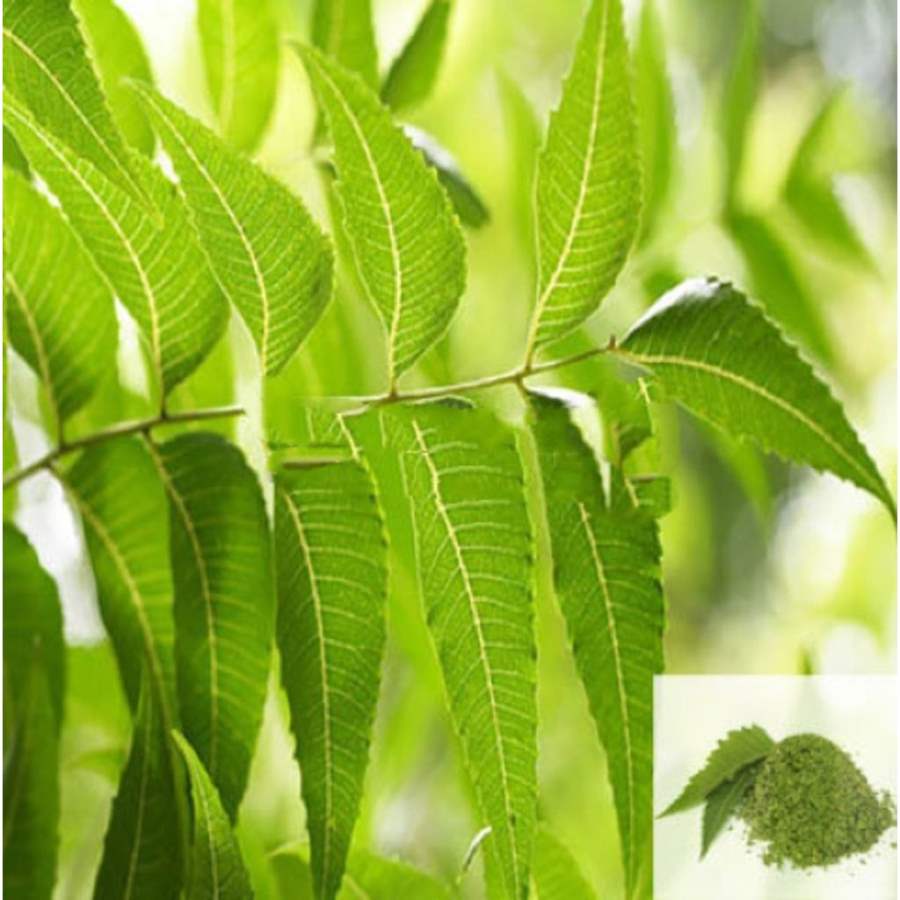 MSK Traders - Nature Herbal Veppilai / Neem Leaves Powder