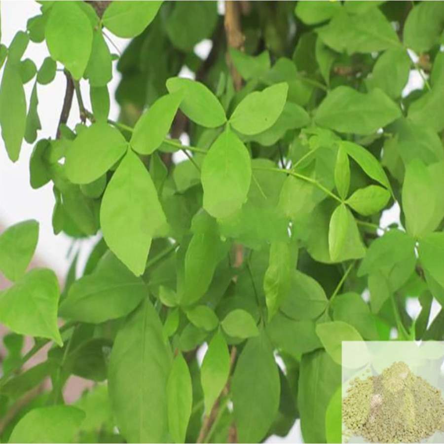 MSK Traders - Nature Herbal Vilvam ilai / Bael Leaves Powder