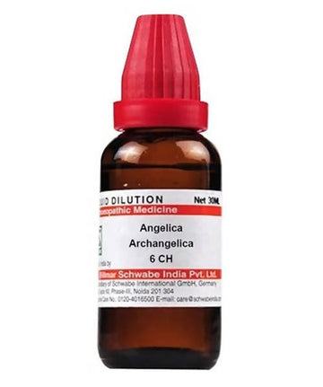 Dr. Willmar Schwabe India Angelica Archangelica Dilution