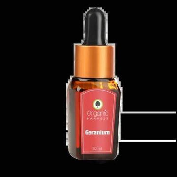 Organic Harvest Geranium Essential Oil