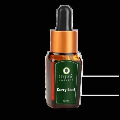 Organic Harvest Curry Leaf Essential Oil