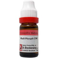 Dr. Reckeweg Kali Phosphoricum | Buy Reckeweg India Products 