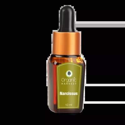 Organic Harvest Narcissus Essential Oil
