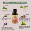 Ancient Living Insect Repellent Blended Oil
