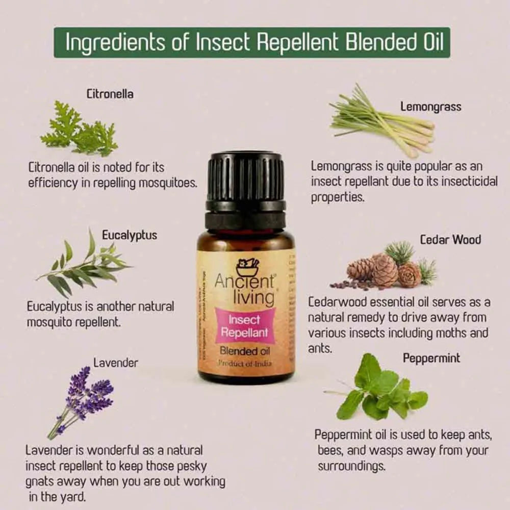 Ancient Living Insect Repellent Blended Oil