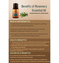 Ancient Living Rosemary Essential Oil