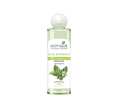 Biotique Bio Basil & Parsley Revitalizing Body Wash