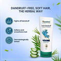 Himalaya Anti Dandruff Hair Conditioner