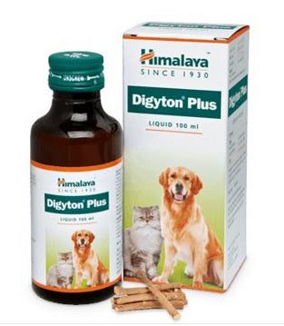 Himalaya Digyton Plus liquid