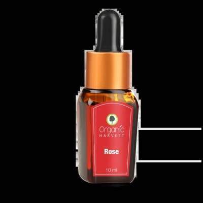 Organic Harvest Rose Essential Oil