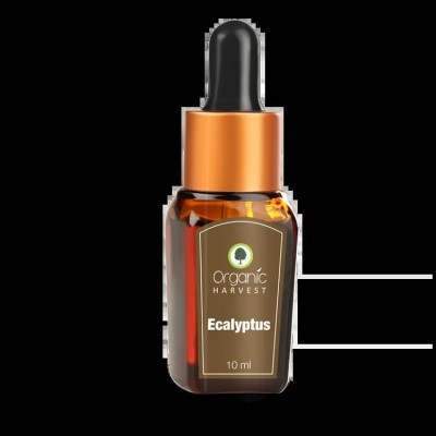 Organic Harvest Eucalyptus Essential Oil