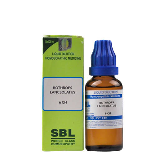 sbl bothrops lanceolatus  - 6 CH