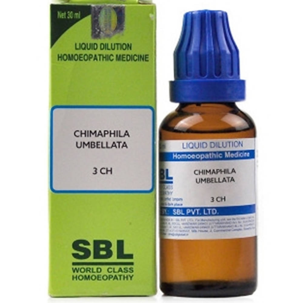 sbl chimaphila umbellata  - 3 CH