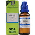 sbl chimaphila umbellata  - 12 CH