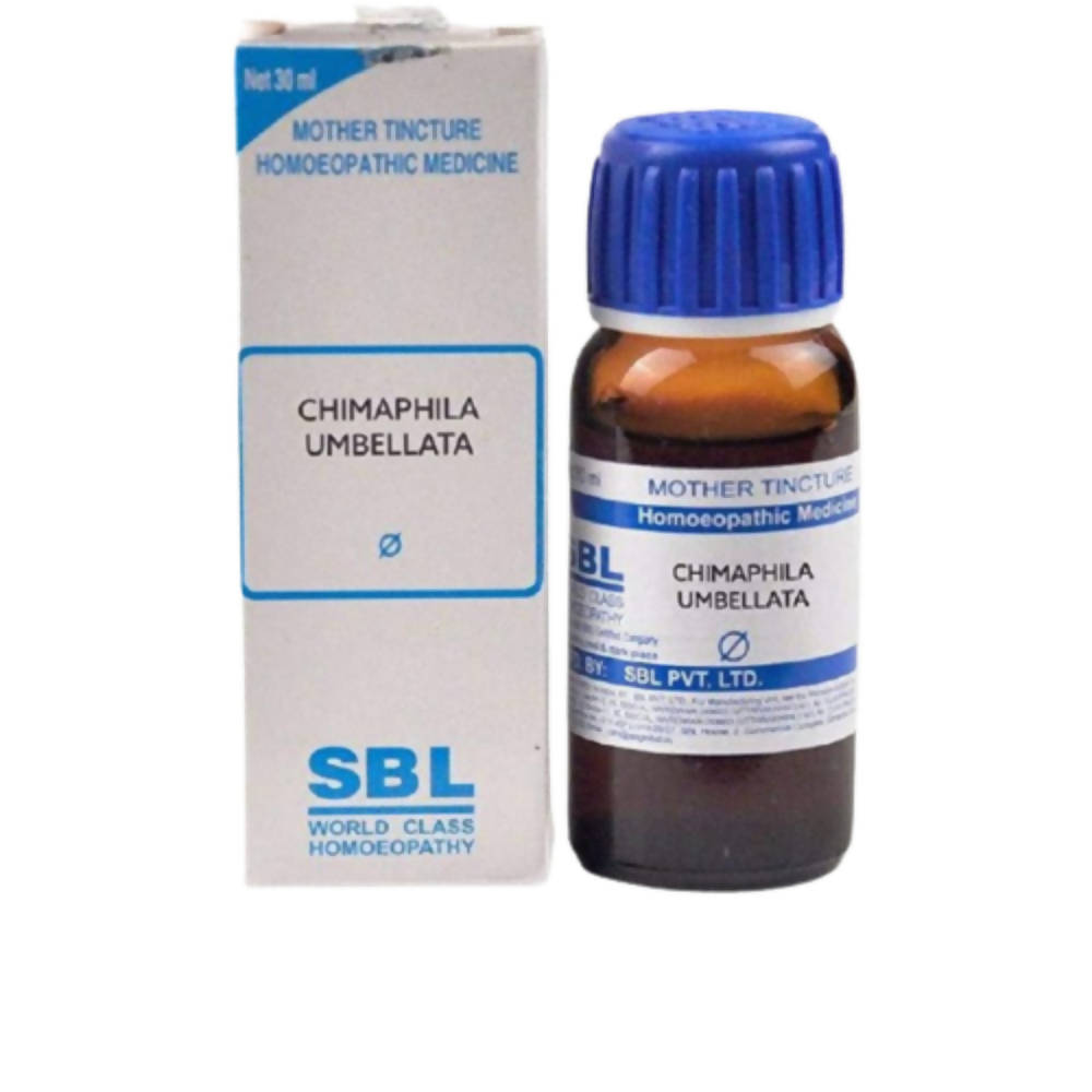 sbl chimaphila umbellata  - 1X