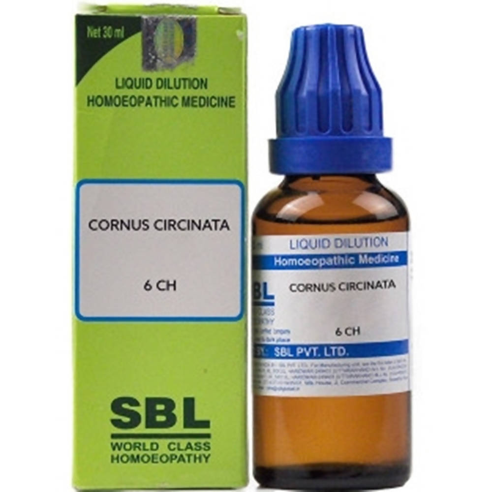 sbl cornus circinata  - 12 CH