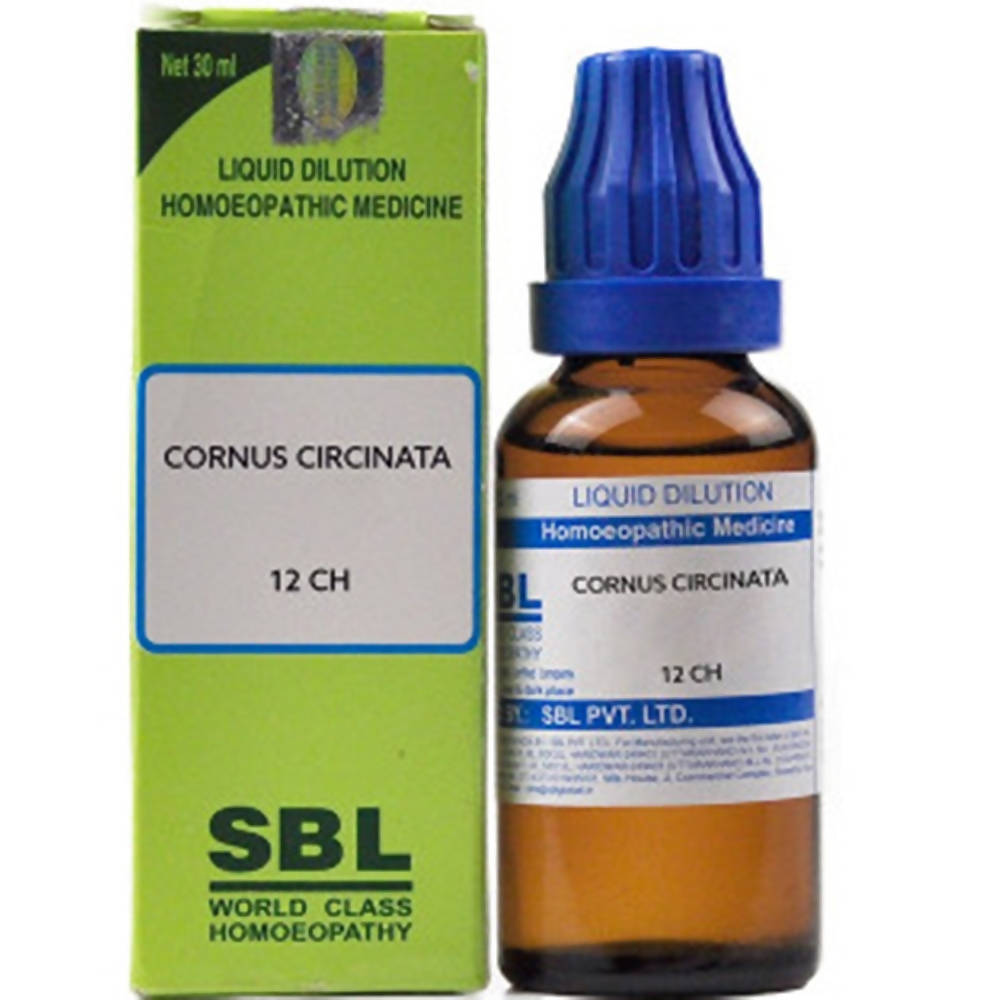 sbl cornus circinata  - 6 CH