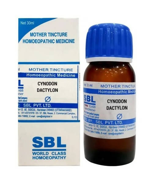 sbl cynodon dactylon  - 1X