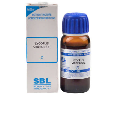 sbl lycopus virginicus  - 1X