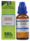 sbl solidago virgaurea - 1000 CH
