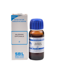 sbl valeriana officinalis  - 1X